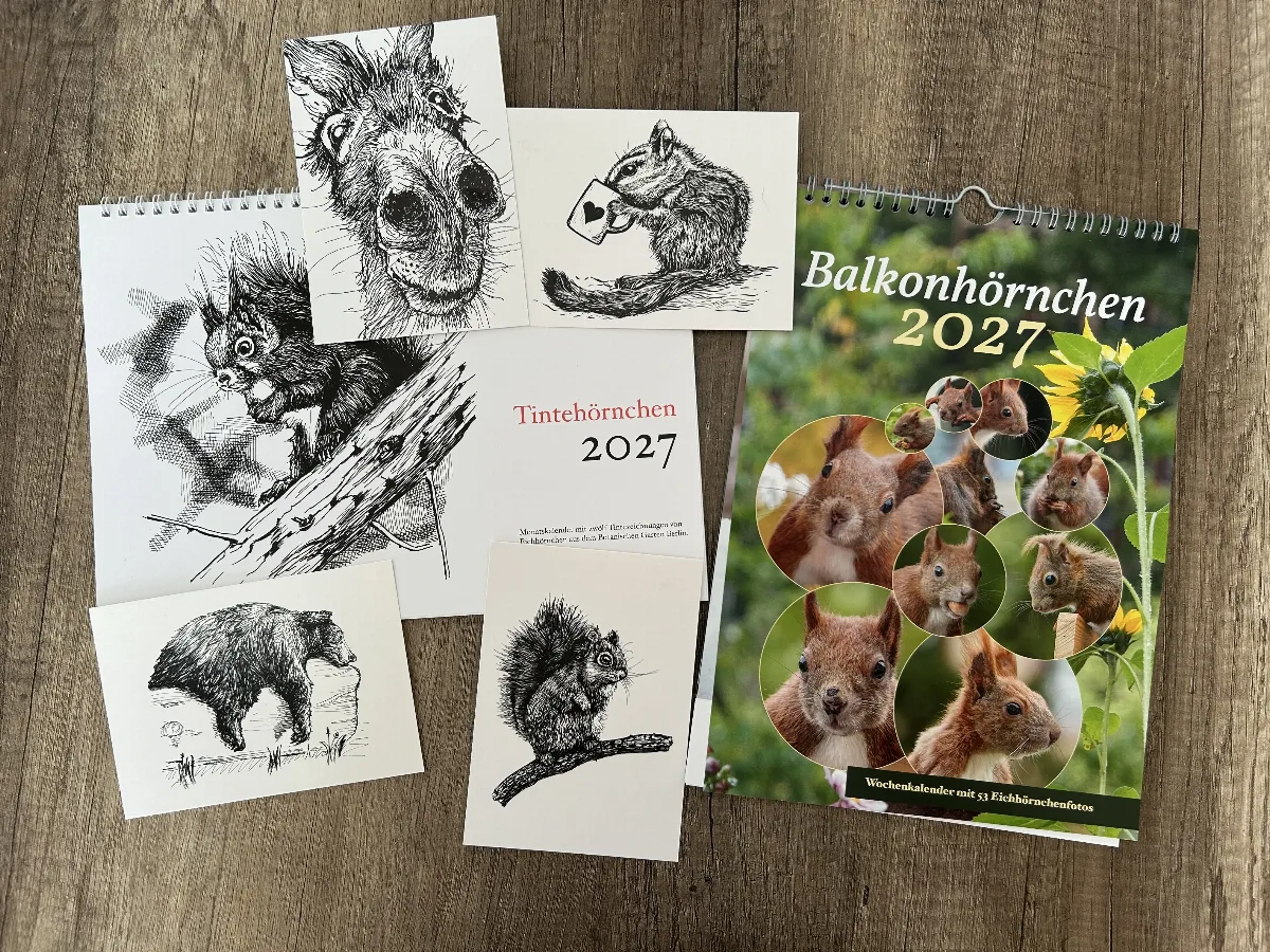 hoernchenkalender